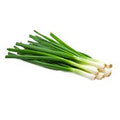 Fresh Onion